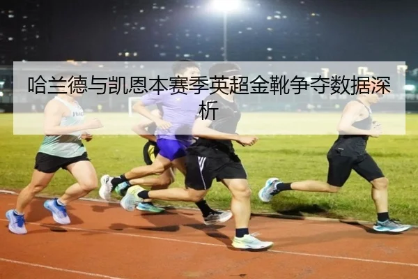 哈兰德与凯恩本赛季英超金靴争夺数据深析