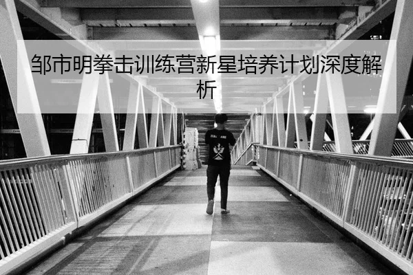邹市明拳击训练营新星培养计划深度解析